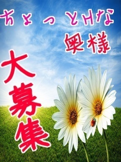 女性コンパニオン大募集